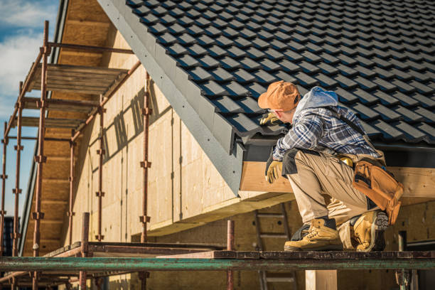 Best Sealant for Roof  in Nicholls, GA