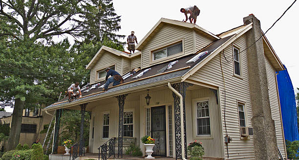 Best Flat Roof Repair Services  in Nicholls, GA