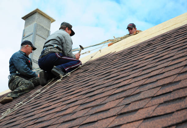 Best Roof Leak Repair  in Nicholls, GA
