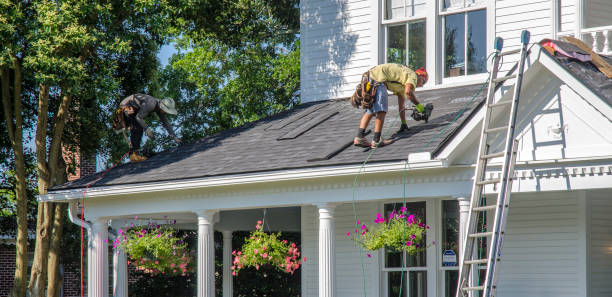 Best Roof Leak Repair  in Nicholls, GA